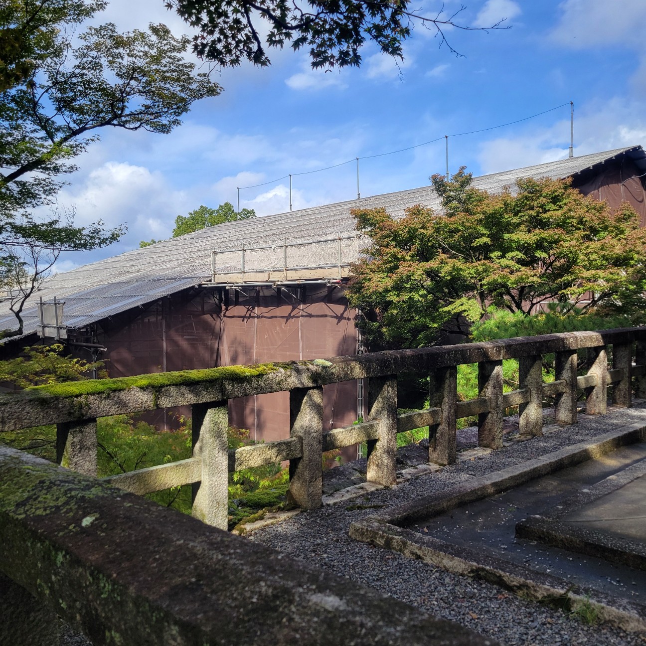 f:id:atoriatoriatori:20251128103043j:image f:id:atoriatoriatori:20251128103043j:image