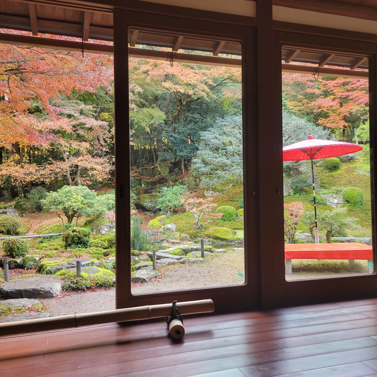 f:id:atoriatoriatori:20251201093947j:image
