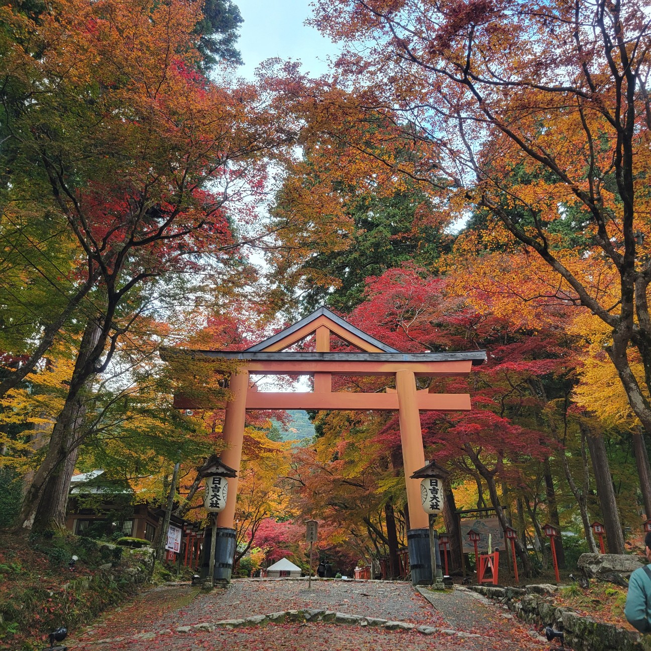 f:id:atoriatoriatori:20251201093955j:image