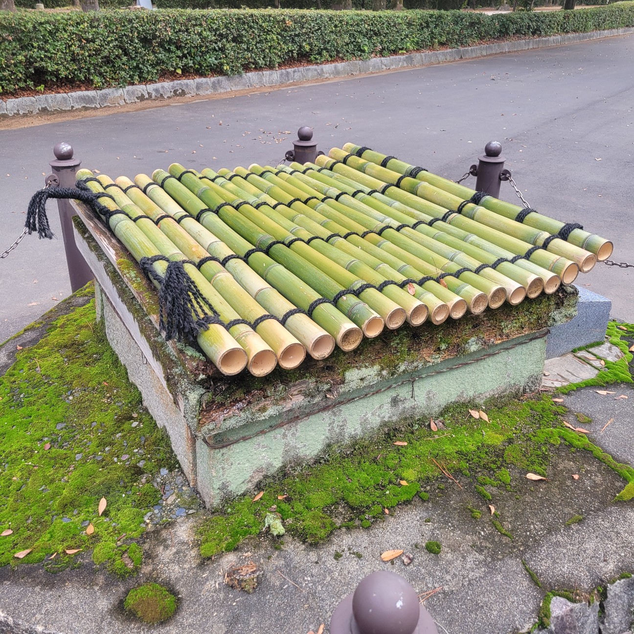 f:id:atoriatoriatori:20251203165817j:image