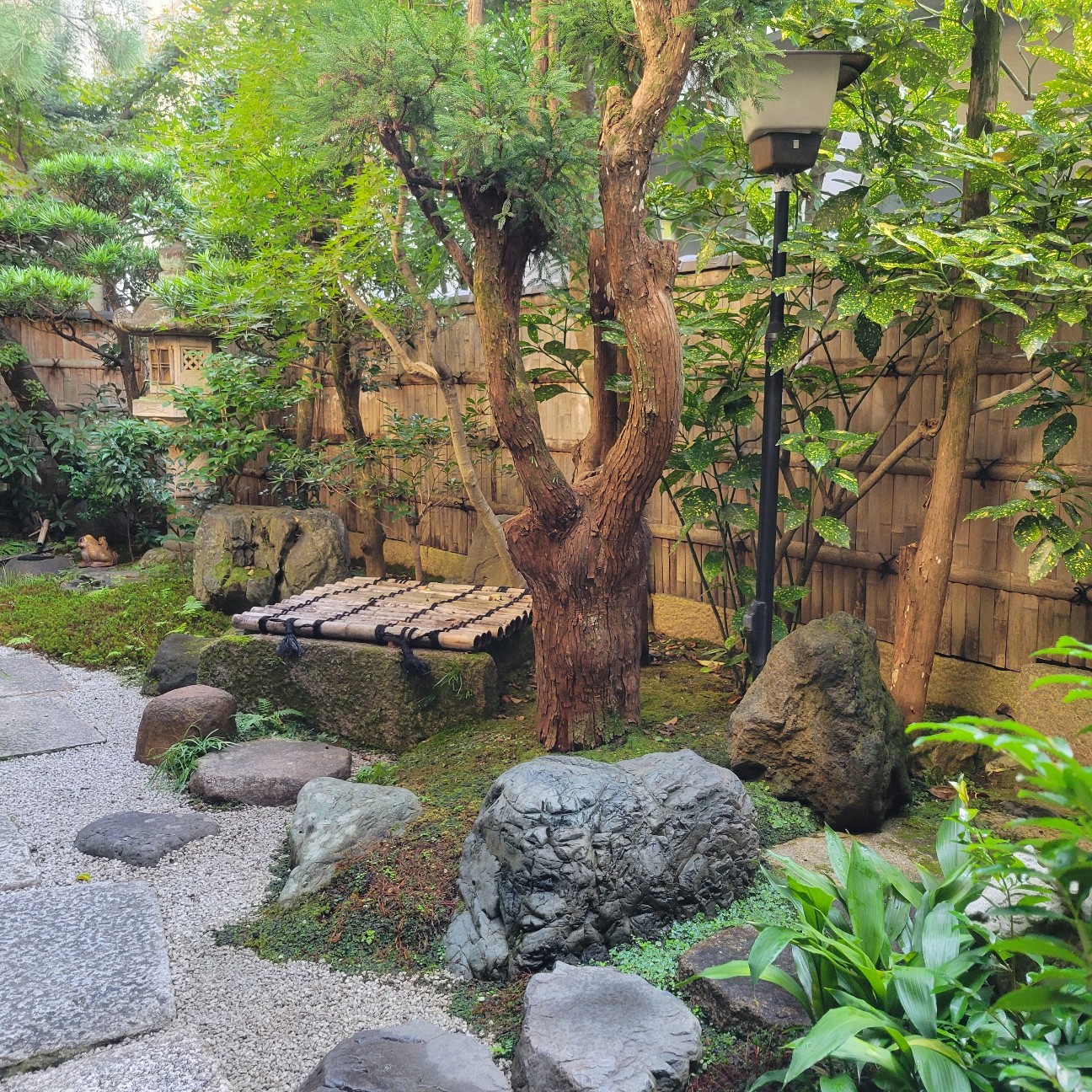 f:id:atoriatoriatori:20251204104627j:image