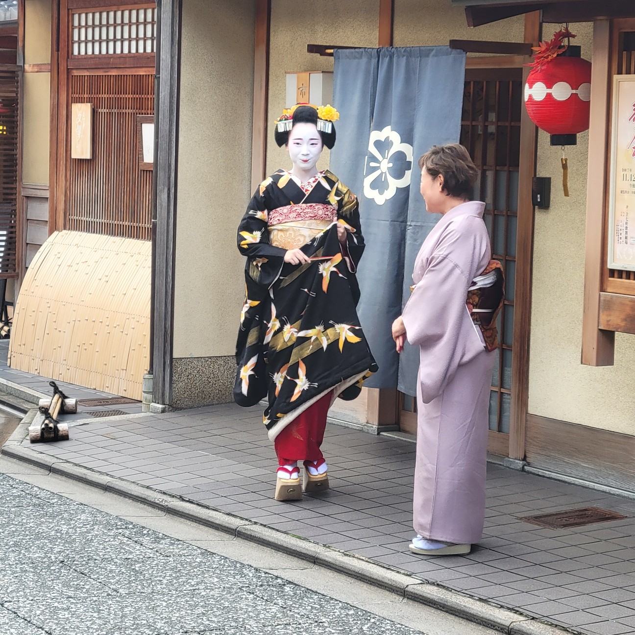 f:id:atoriatoriatori:20251205140449j:image