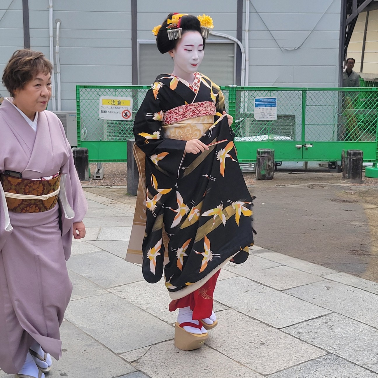 f:id:atoriatoriatori:20251205151648j:image