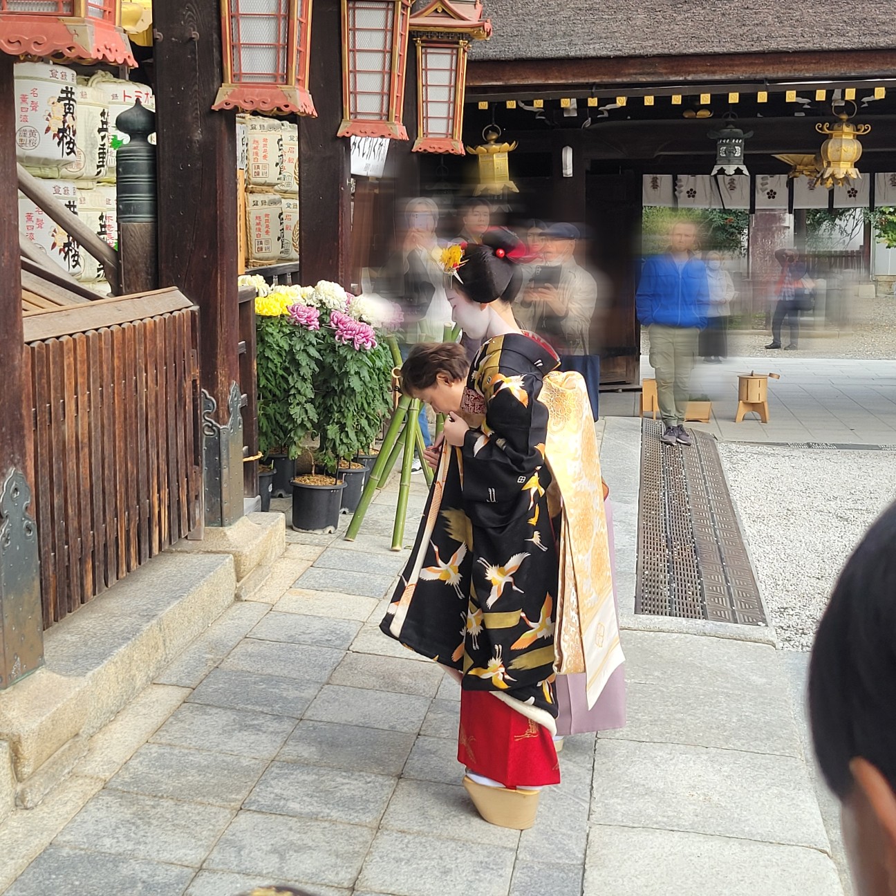 f:id:atoriatoriatori:20251205151702j:image