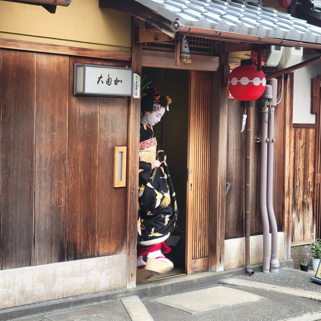 f:id:atoriatoriatori:20251205152908j:image