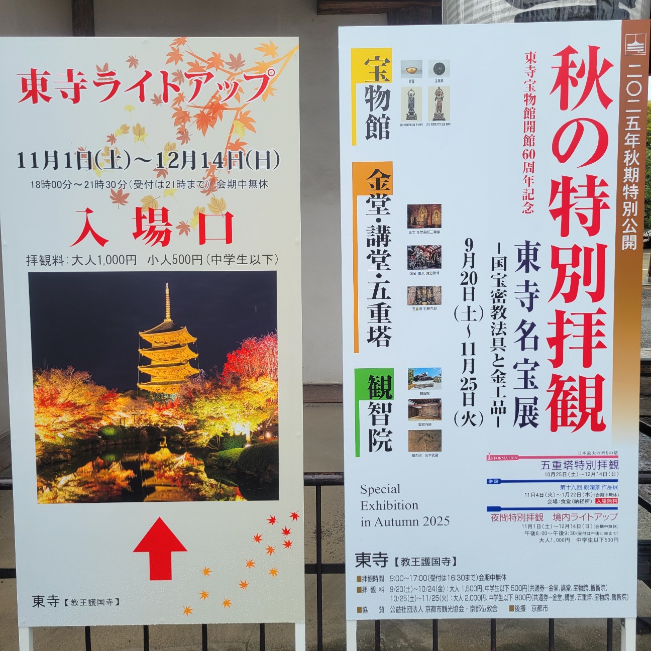 f:id:atoriatoriatori:20251205204922j:image