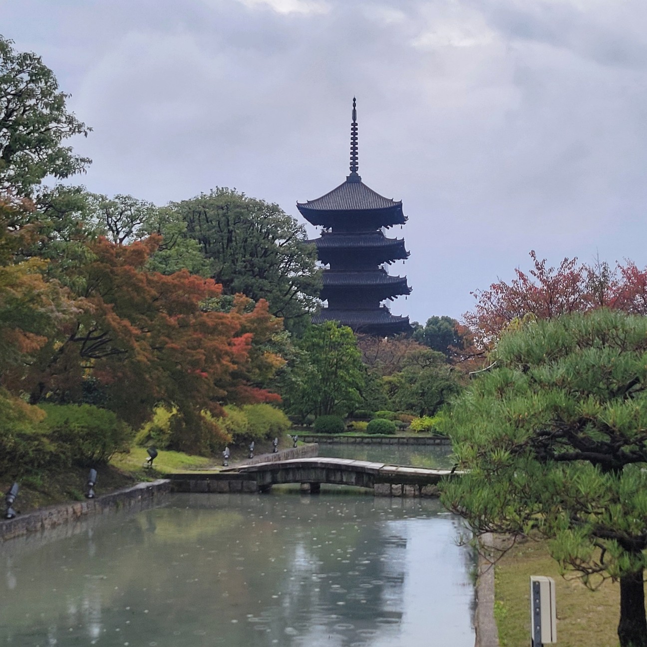 f:id:atoriatoriatori:20251206185413j:image