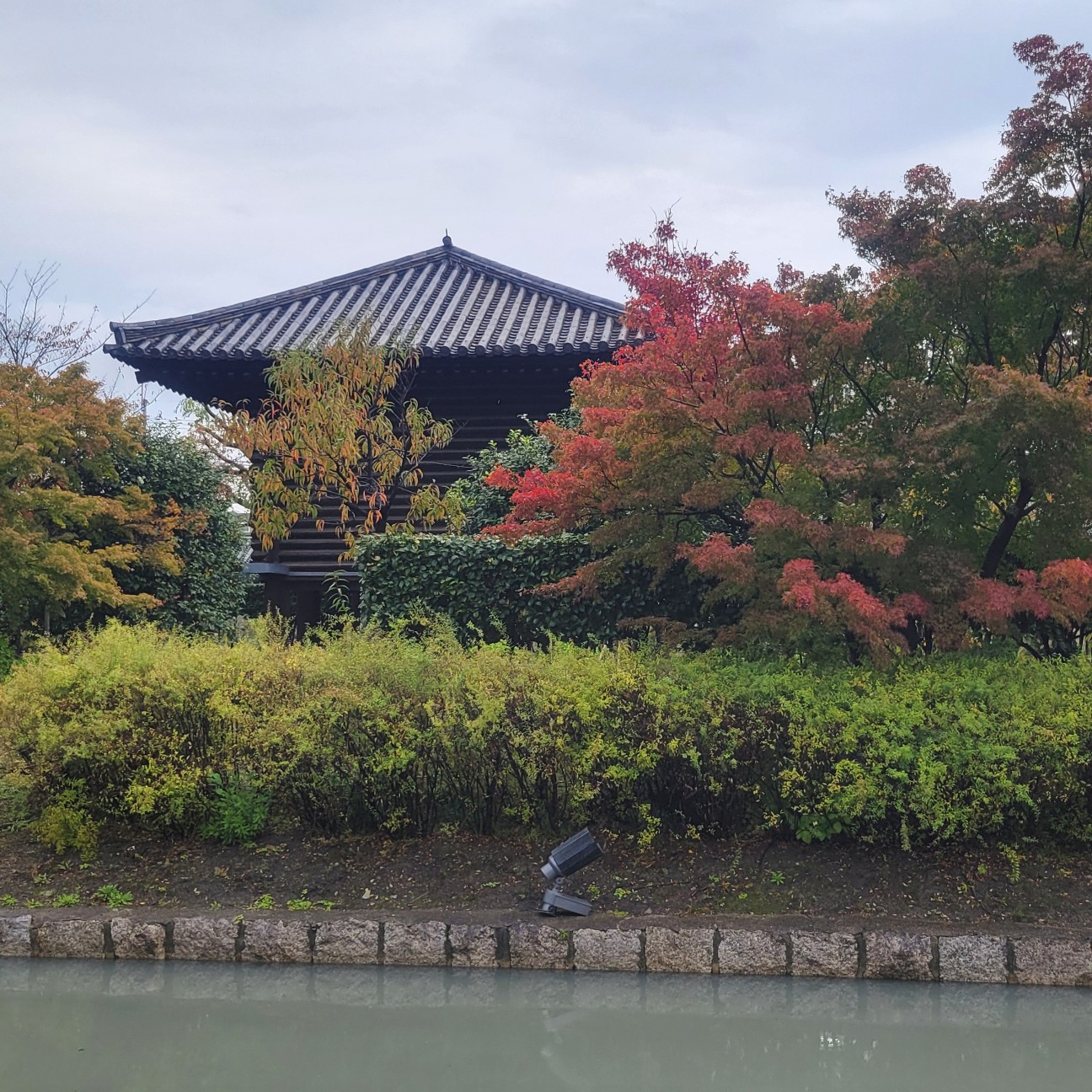 f:id:atoriatoriatori:20251206185537j:image