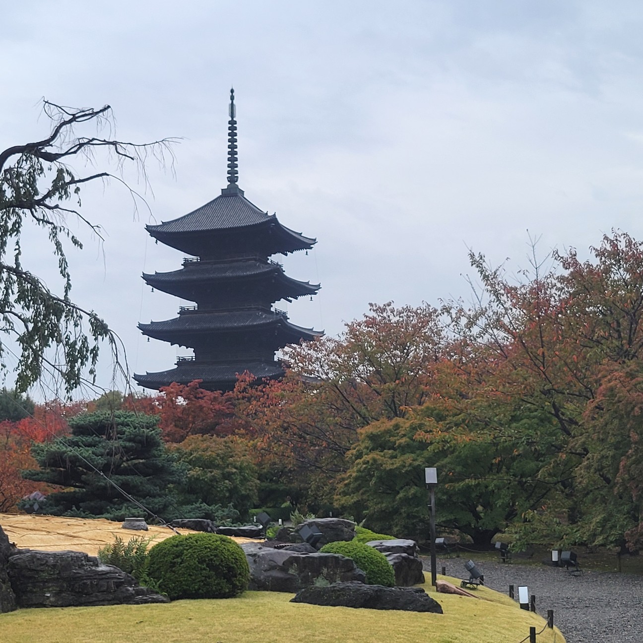 f:id:atoriatoriatori:20251206191509j:image