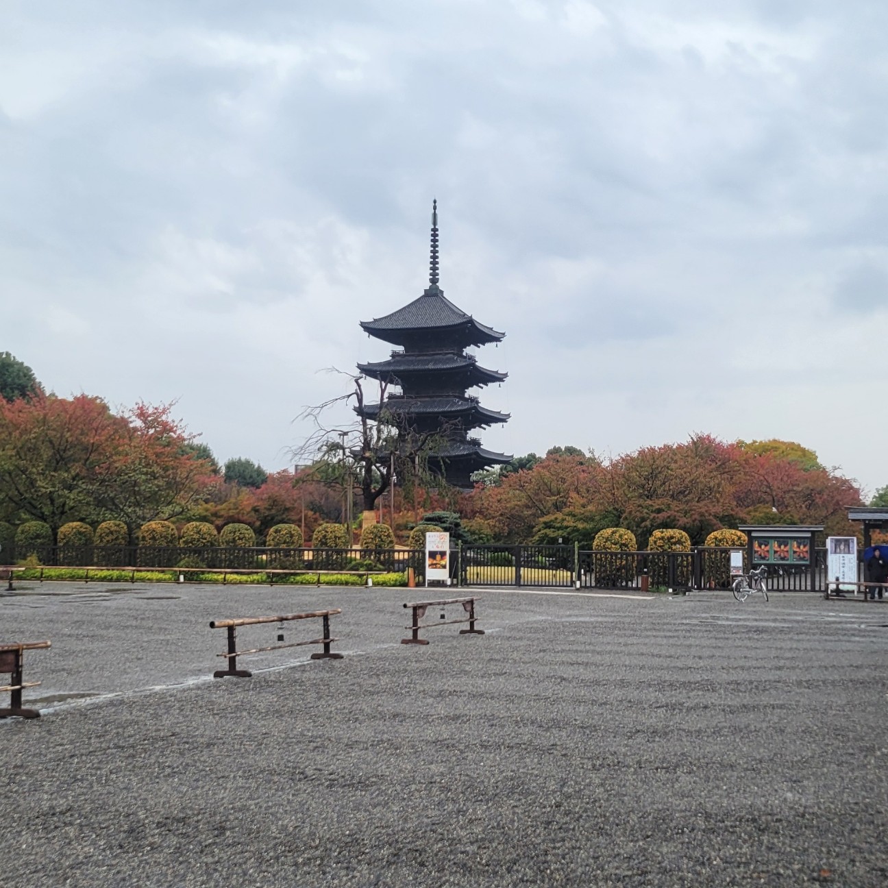 f:id:atoriatoriatori:20251207091209j:image