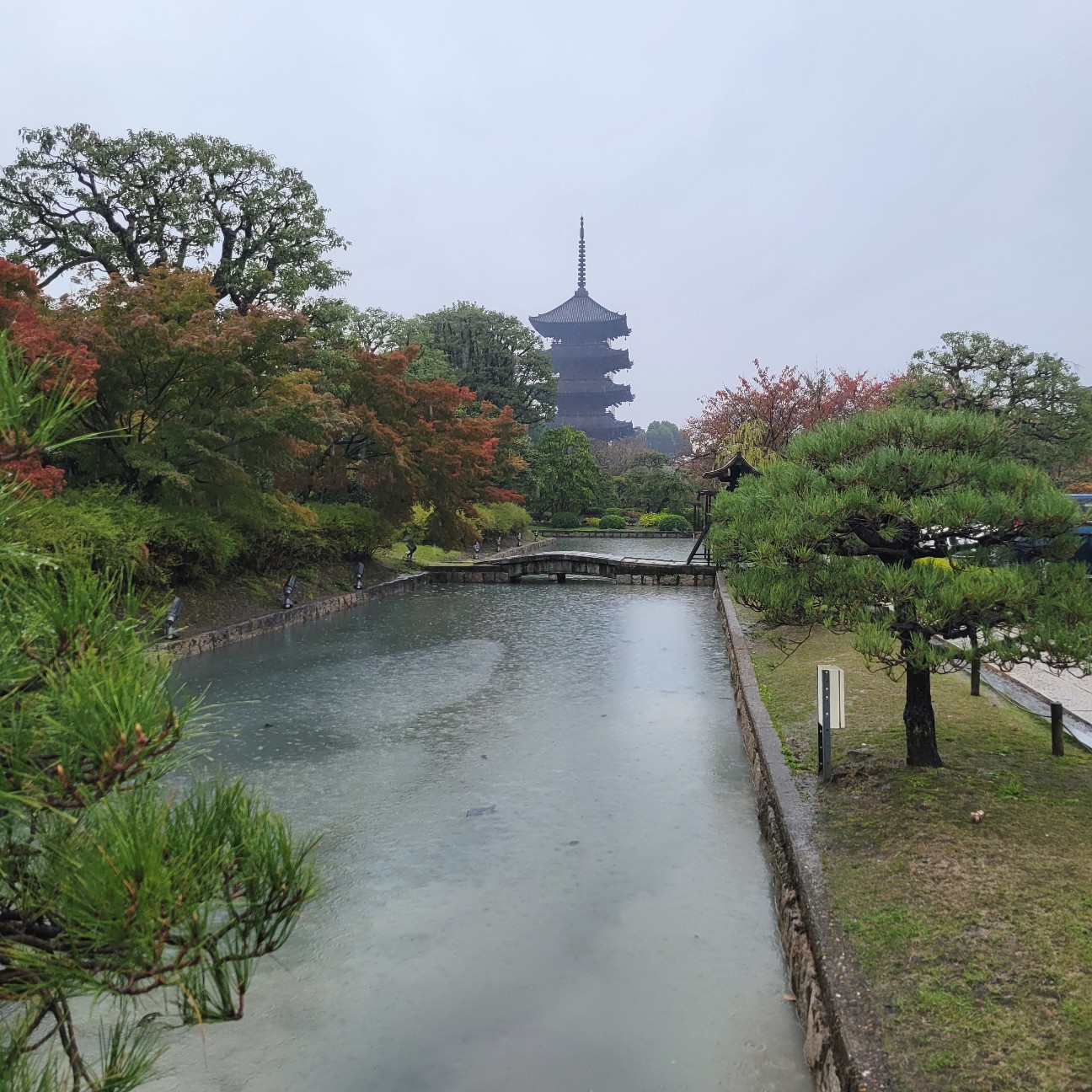 f:id:atoriatoriatori:20251207111138j:image
