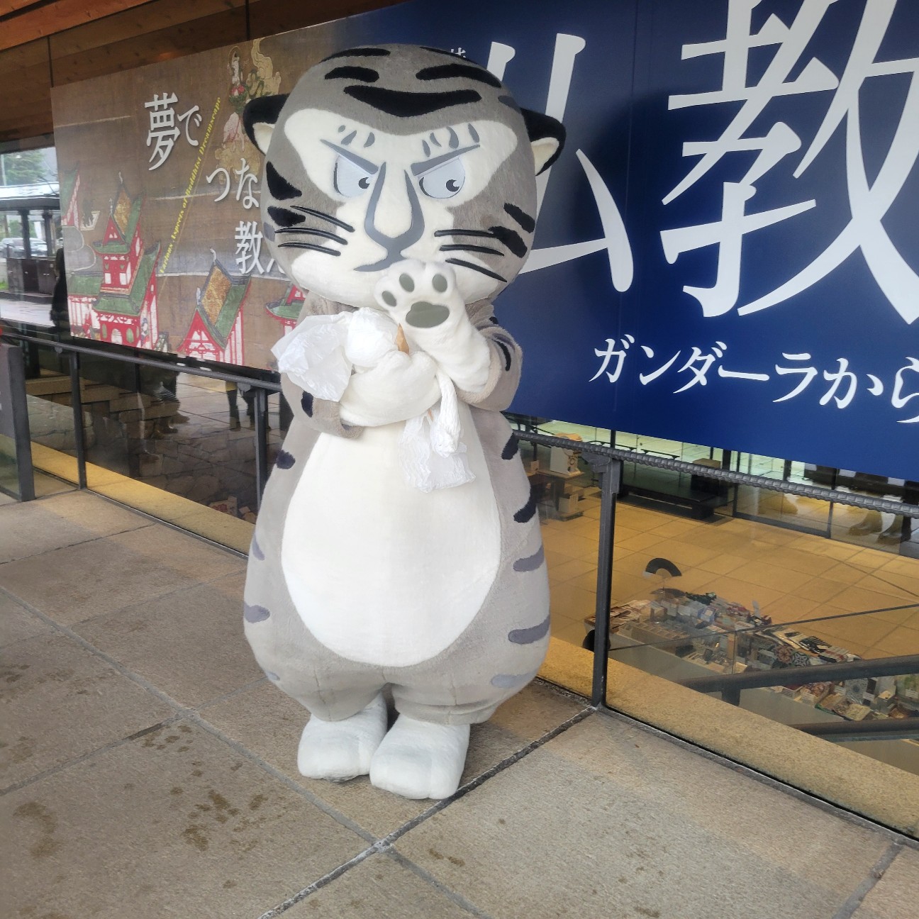 f:id:atoriatoriatori:20251208080538j:image