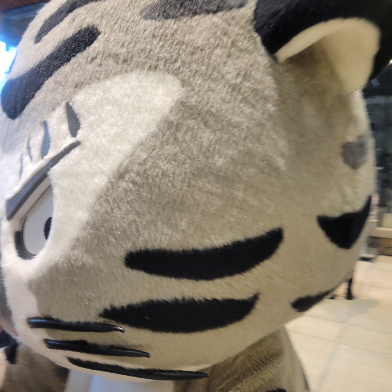 f:id:atoriatoriatori:20251208095414j:image