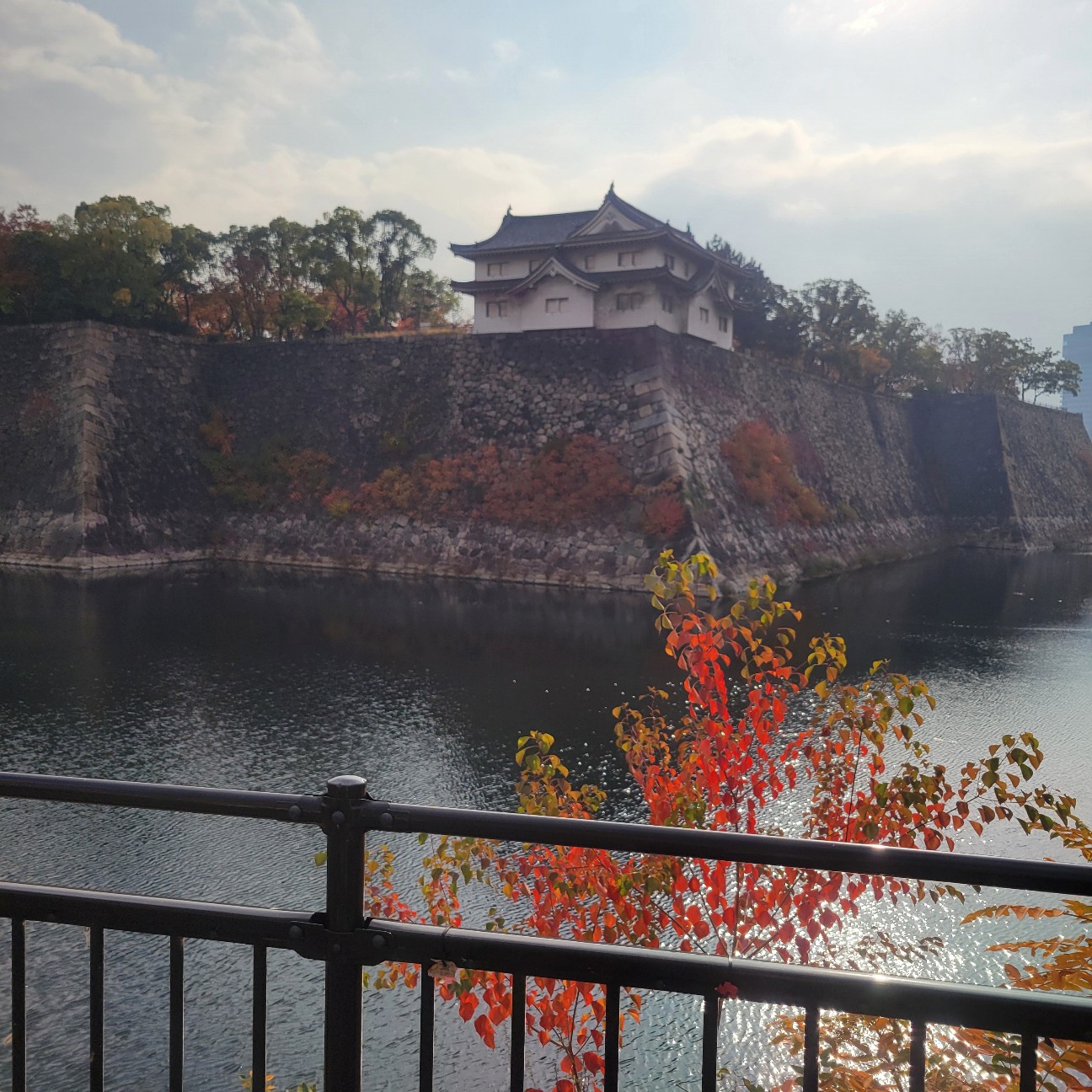 f:id:atoriatoriatori:20251209170456j:image