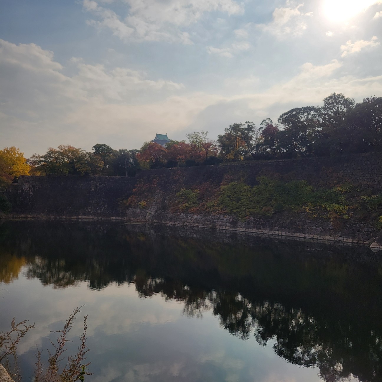 f:id:atoriatoriatori:20251209175359j:image