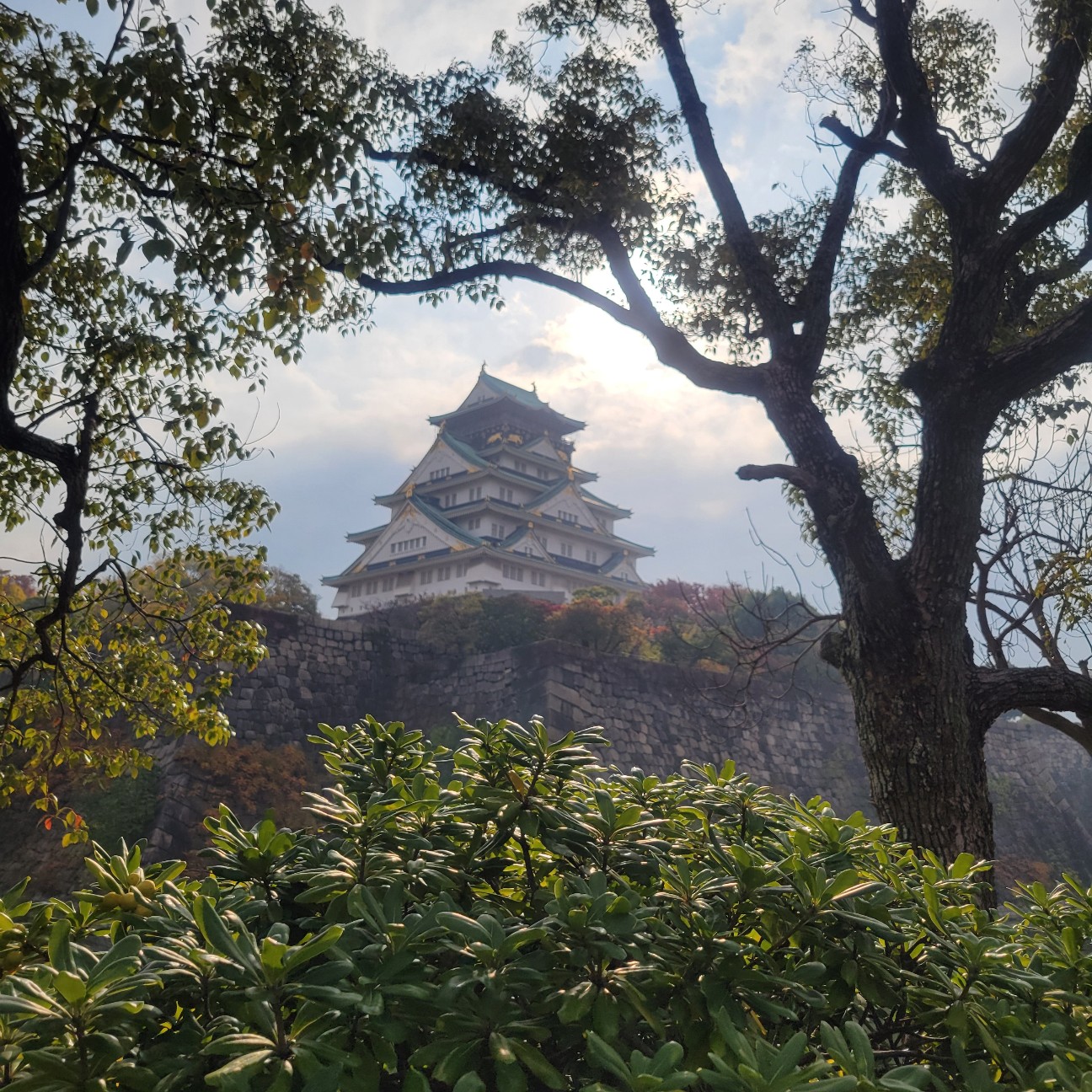 f:id:atoriatoriatori:20251209200013j:image