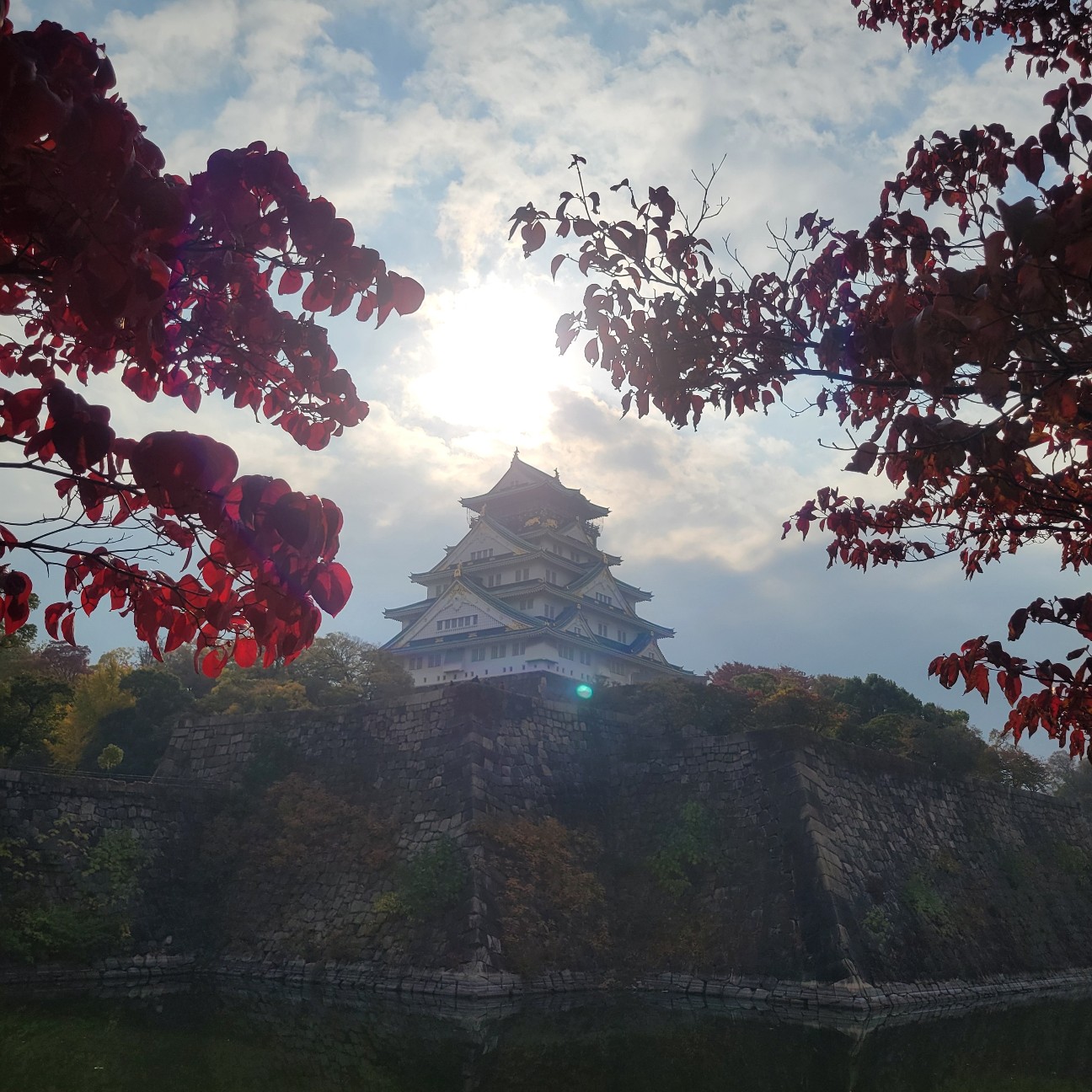 f:id:atoriatoriatori:20251209200022j:image