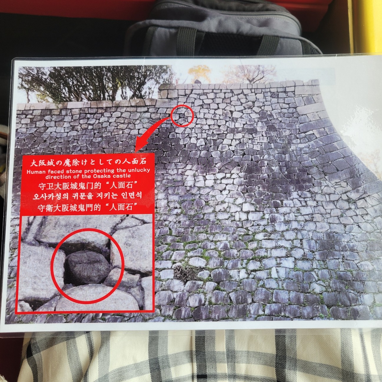 f:id:atoriatoriatori:20251210125105j:image