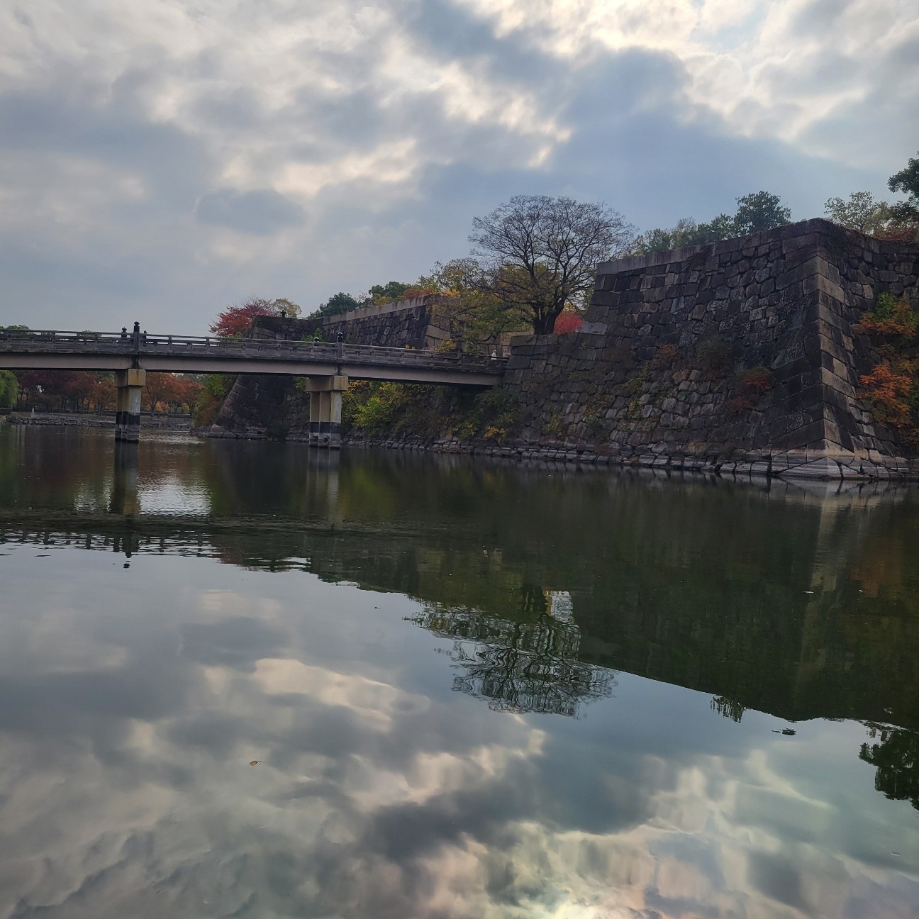 f:id:atoriatoriatori:20251210125745j:image