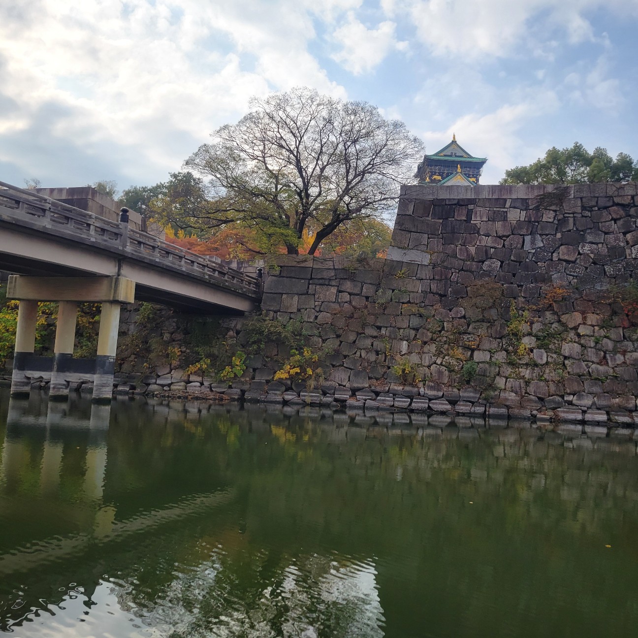 f:id:atoriatoriatori:20251210125754j:image
