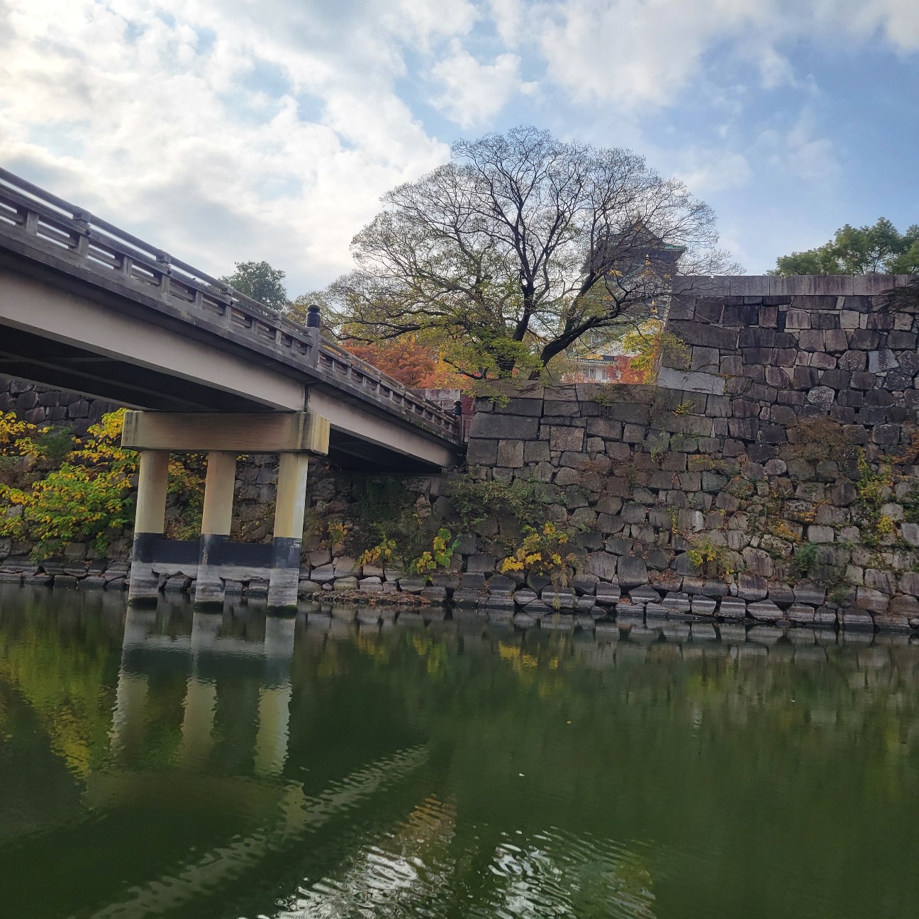 f:id:atoriatoriatori:20251210130106j:image