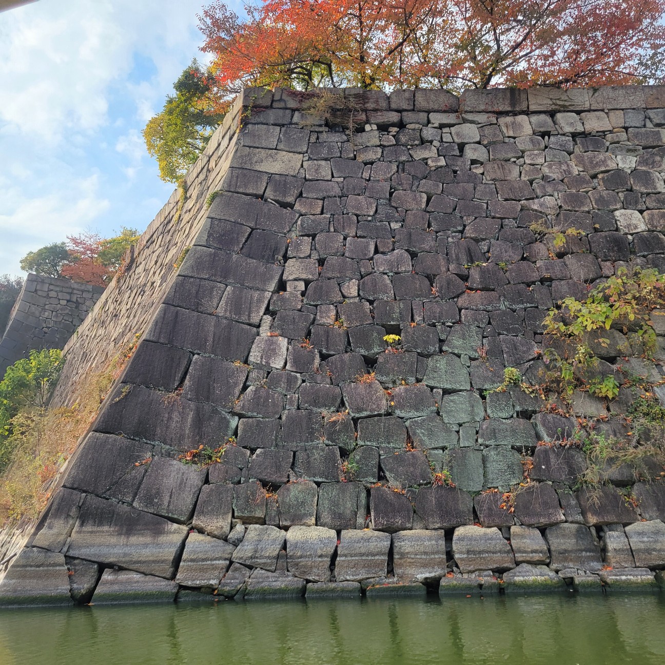 f:id:atoriatoriatori:20251210130132j:image