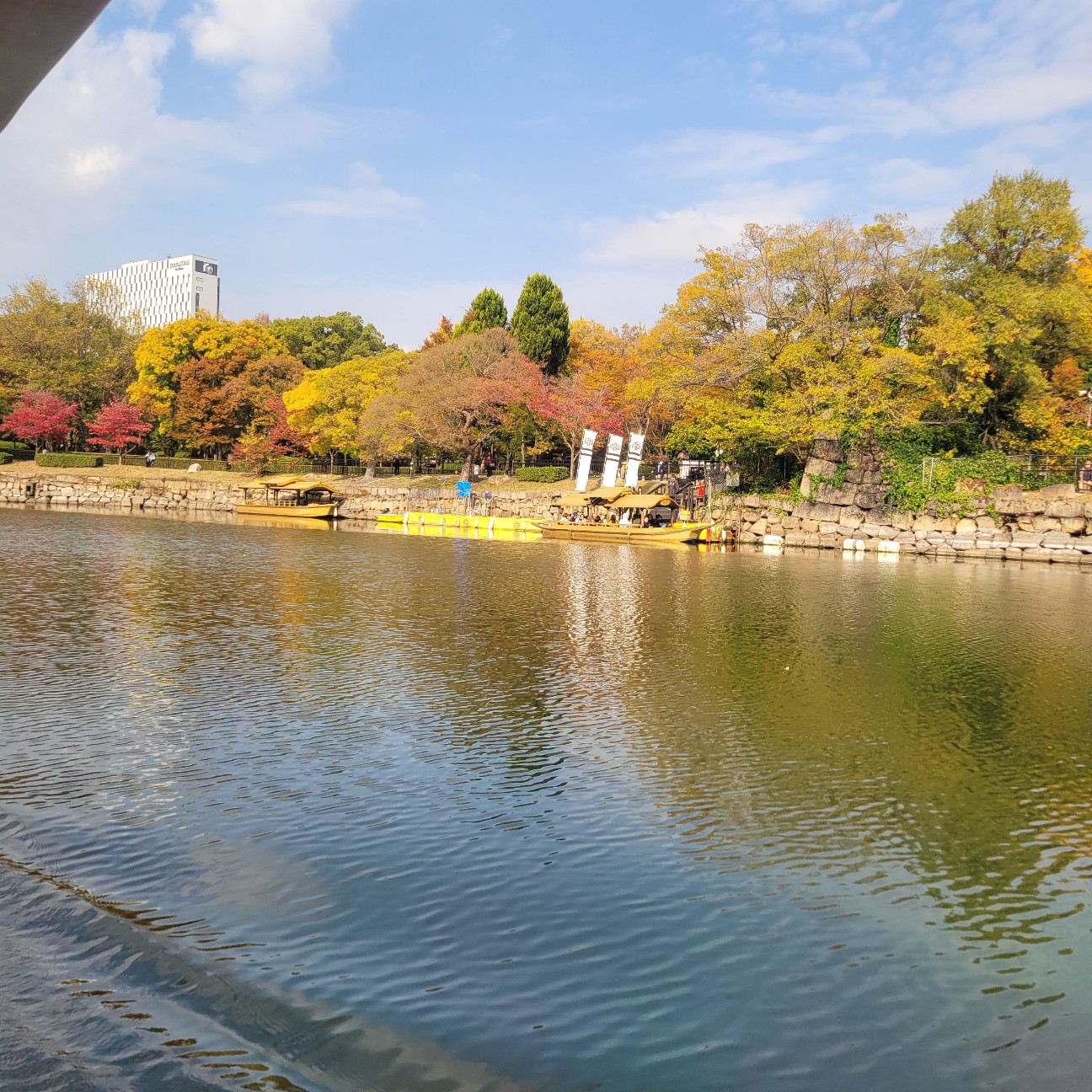 f:id:atoriatoriatori:20251210143452j:image