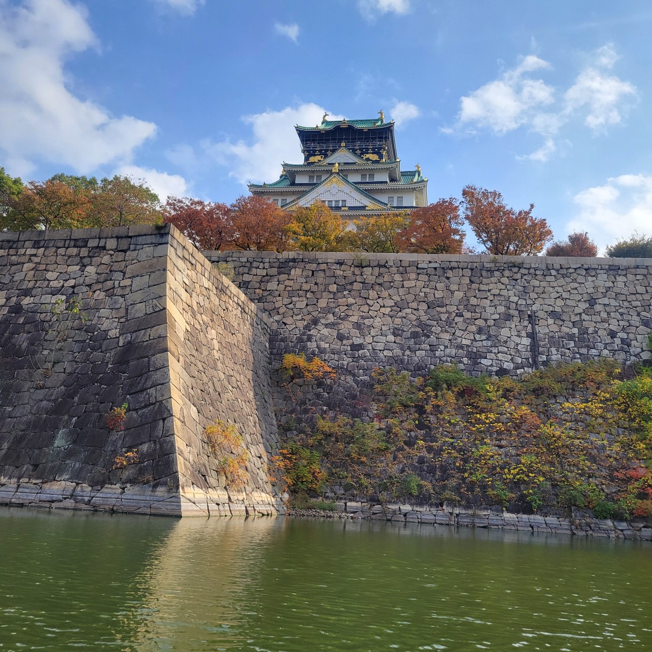 f:id:atoriatoriatori:20251210144543j:image
