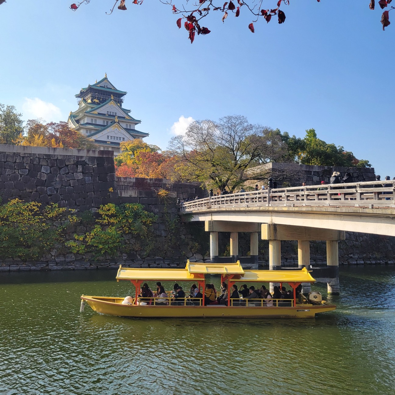 f:id:atoriatoriatori:20251210152606j:image