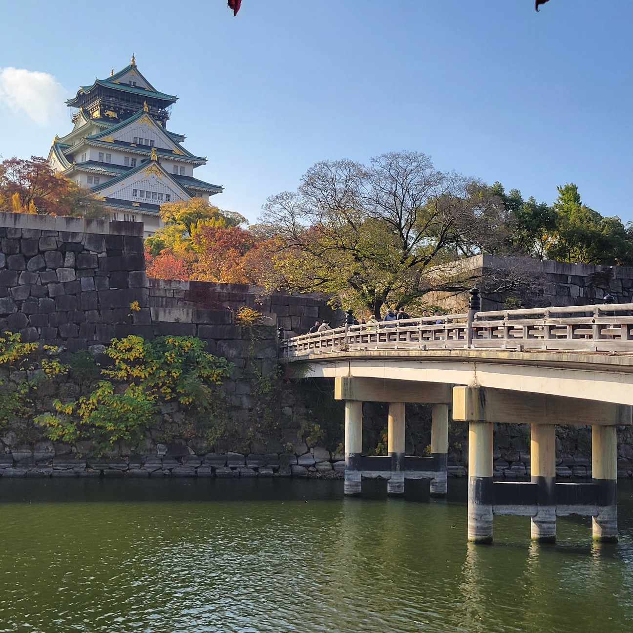 f:id:atoriatoriatori:20251210222538j:image