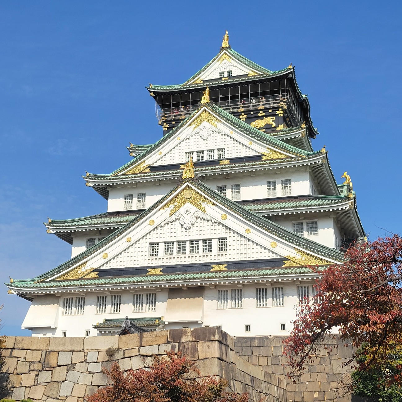 f:id:atoriatoriatori:20251211083753j:image
