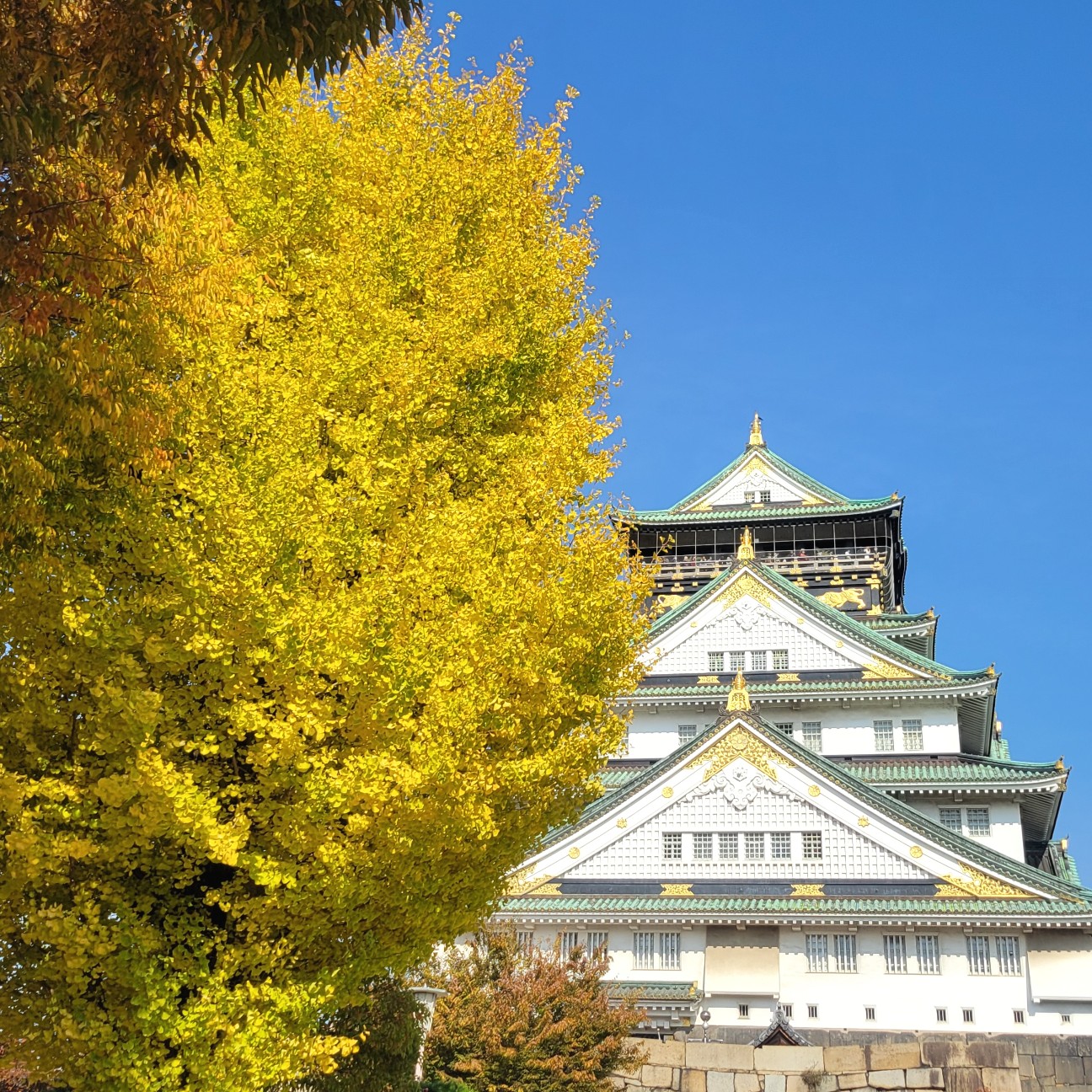f:id:atoriatoriatori:20251211084014j:image