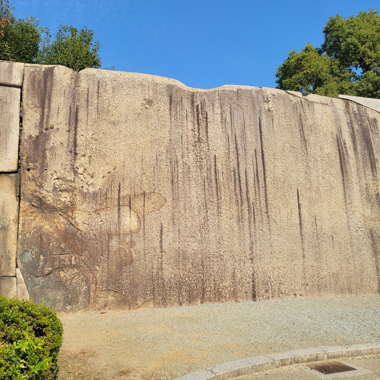 f:id:atoriatoriatori:20251211094542j:image