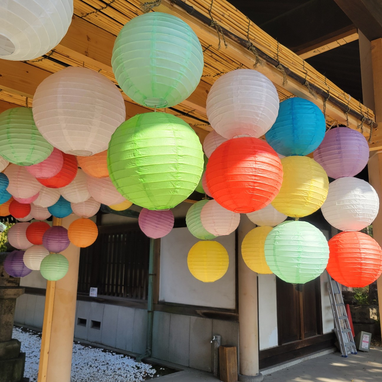 f:id:atoriatoriatori:20251211101821j:image