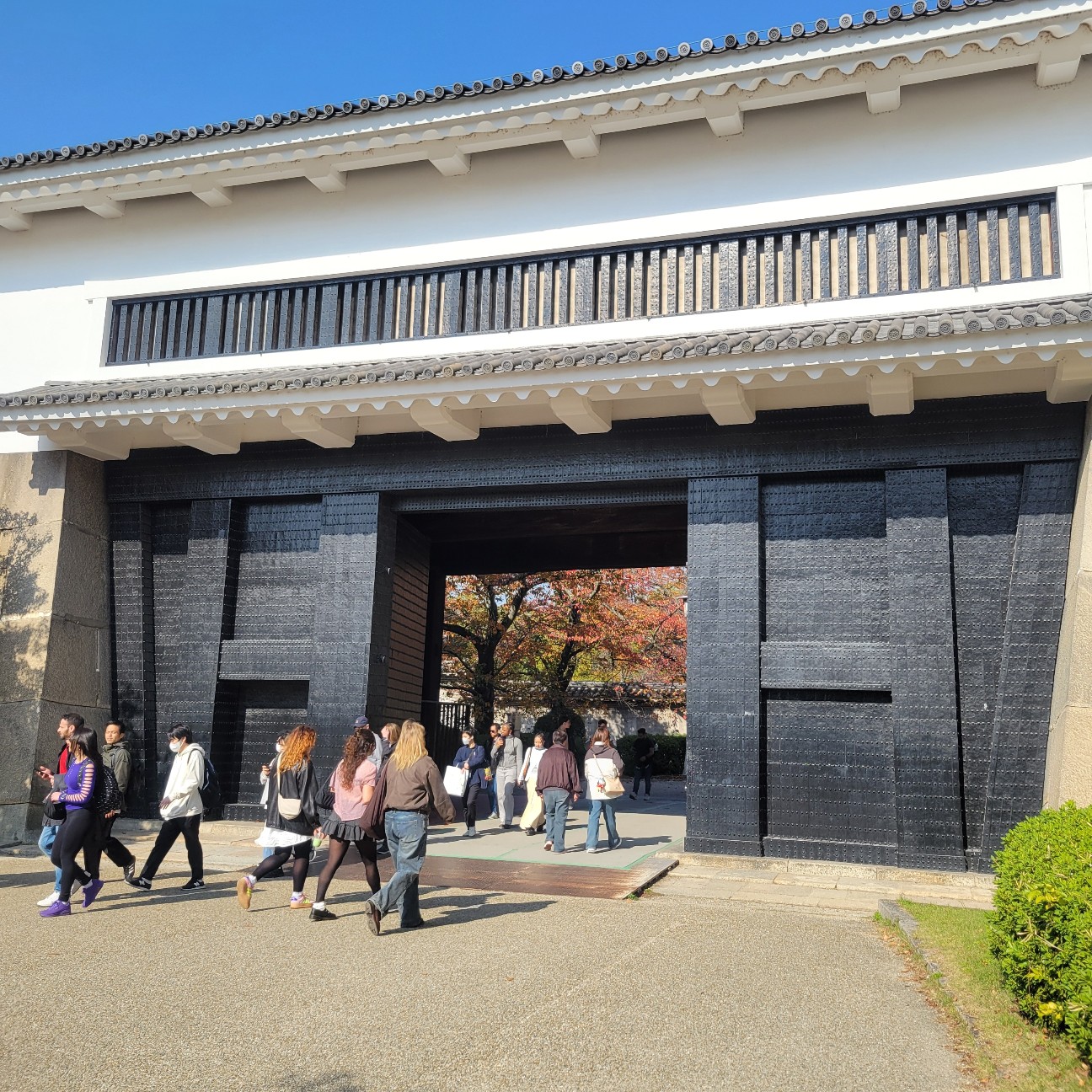 f:id:atoriatoriatori:20251211104530j:image