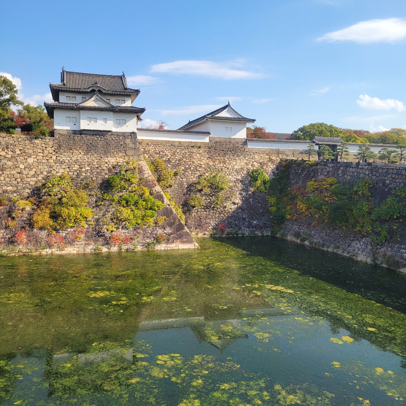 f:id:atoriatoriatori:20251211104806j:image