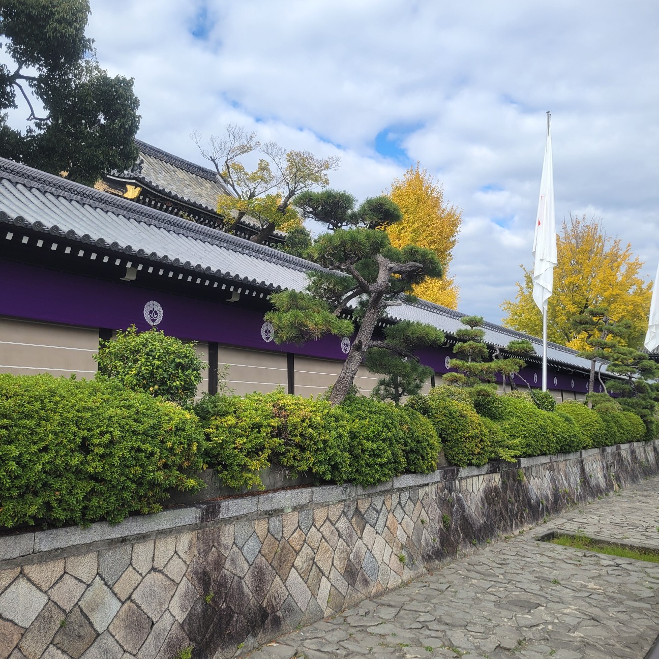 f:id:atoriatoriatori:20251212200907j:image
