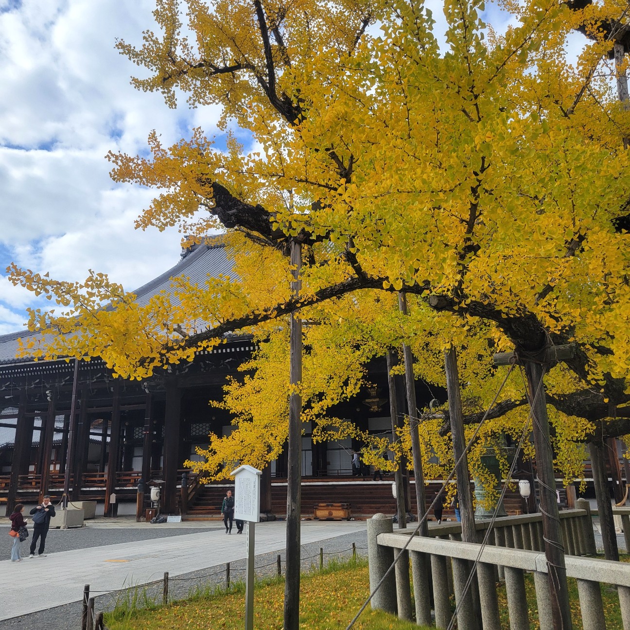 f:id:atoriatoriatori:20251212202030j:image