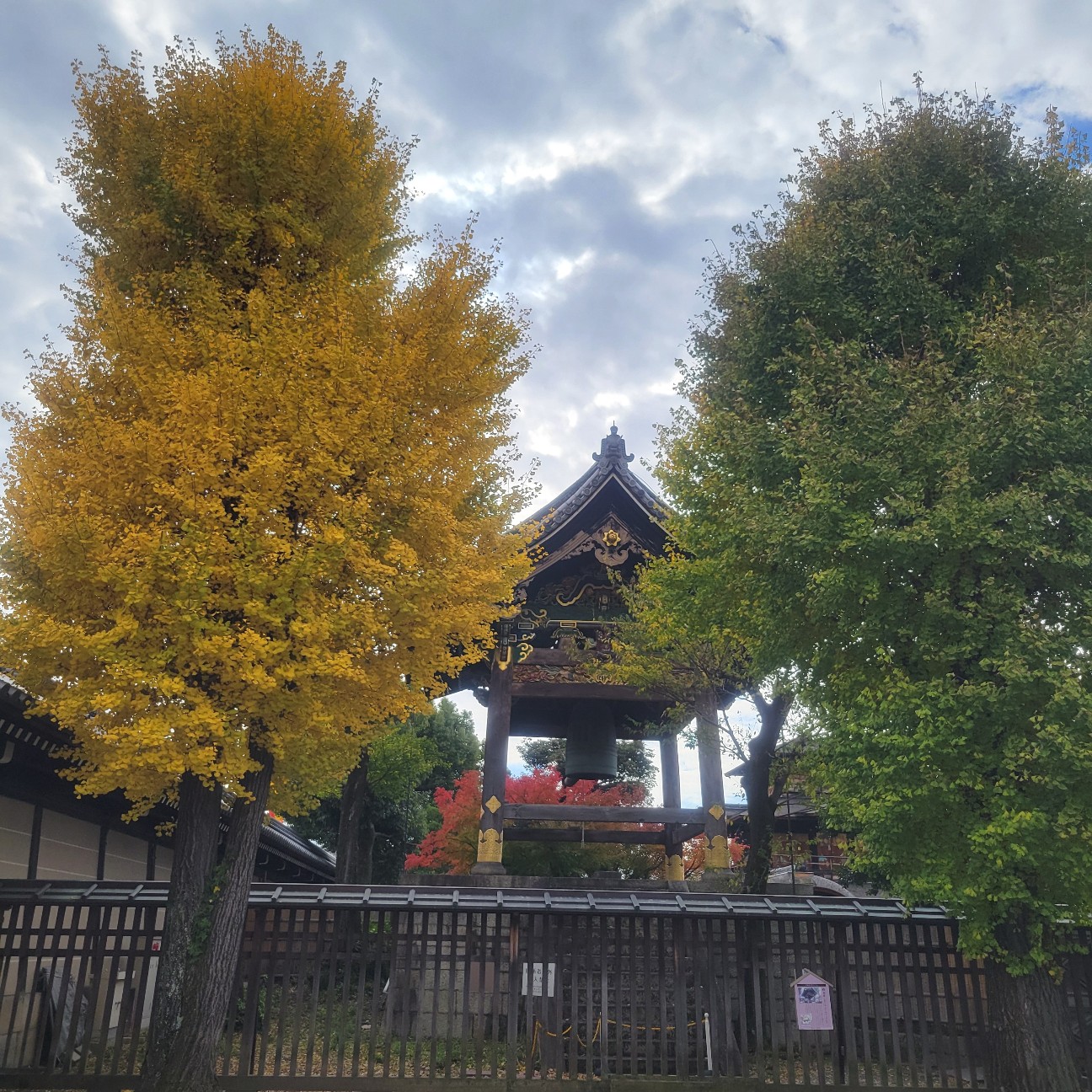 f:id:atoriatoriatori:20251213113358j:image
