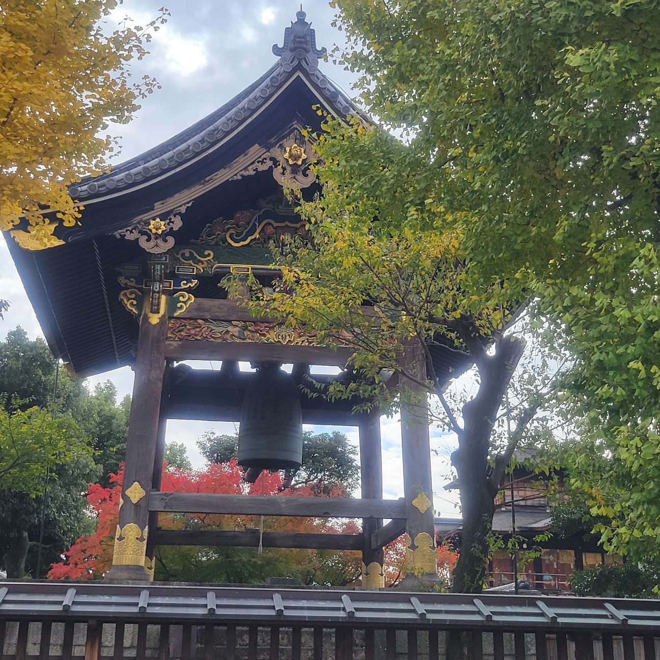 f:id:atoriatoriatori:20251213124039j:image