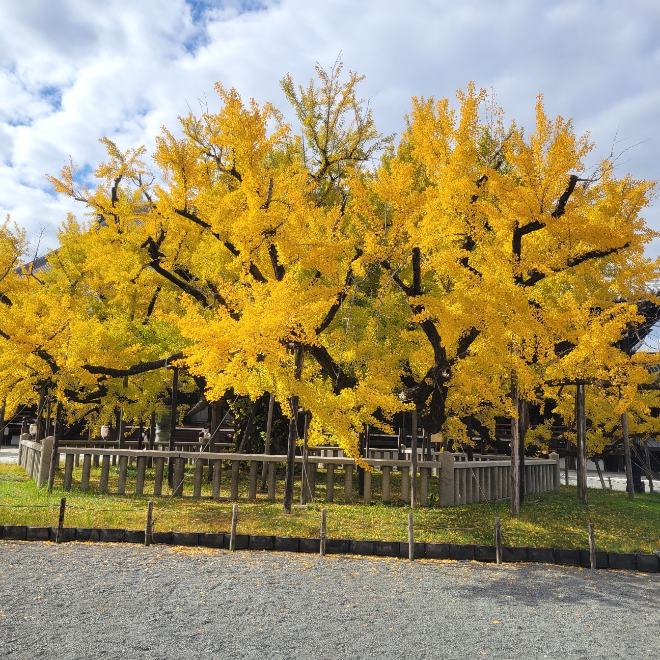 f:id:atoriatoriatori:20251213132604j:image