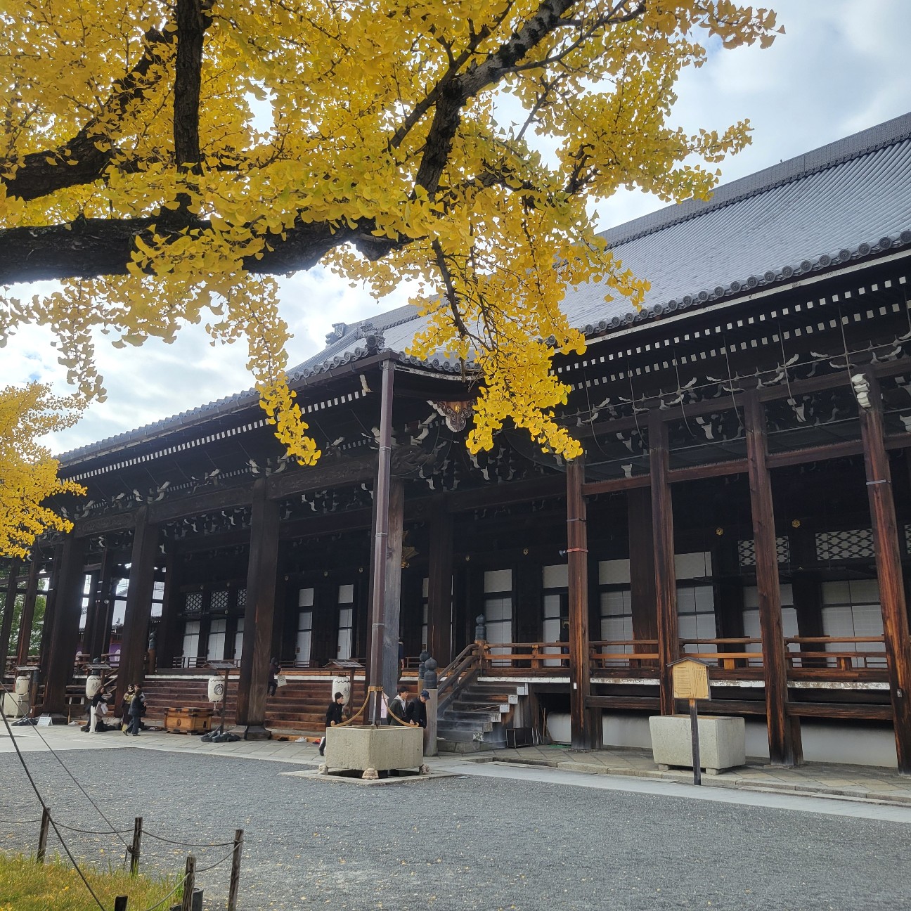 f:id:atoriatoriatori:20251213133243j:image