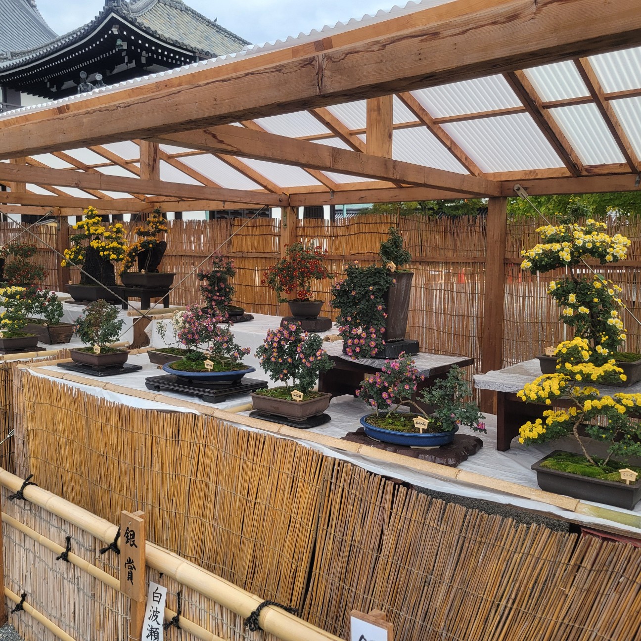 f:id:atoriatoriatori:20251213134148j:image