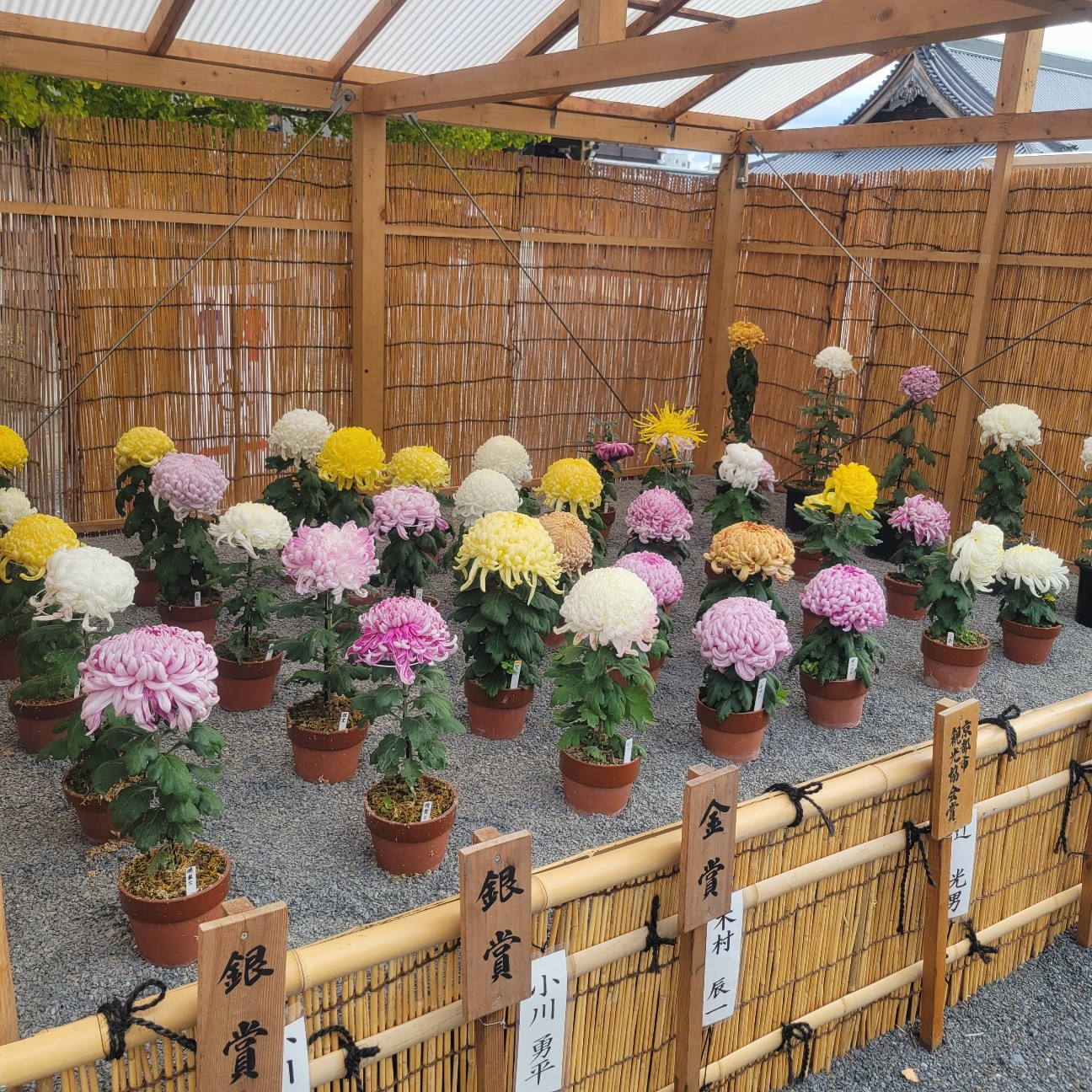 f:id:atoriatoriatori:20251213134203j:image