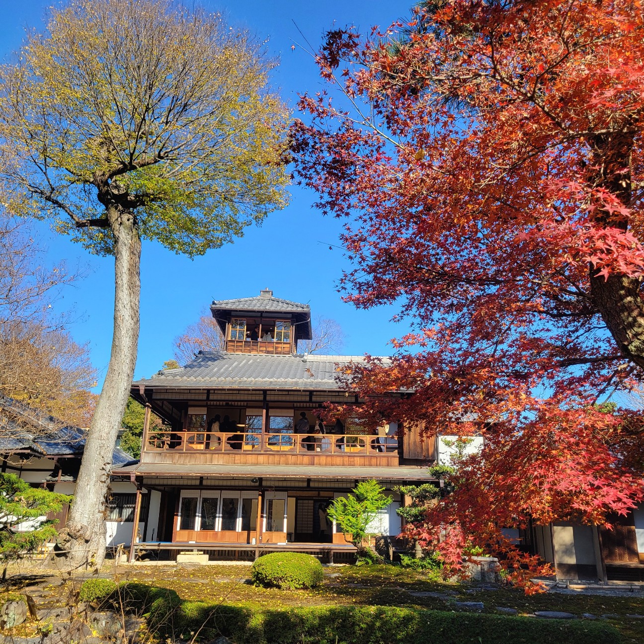 f:id:atoriatoriatori:20251215095105j:image