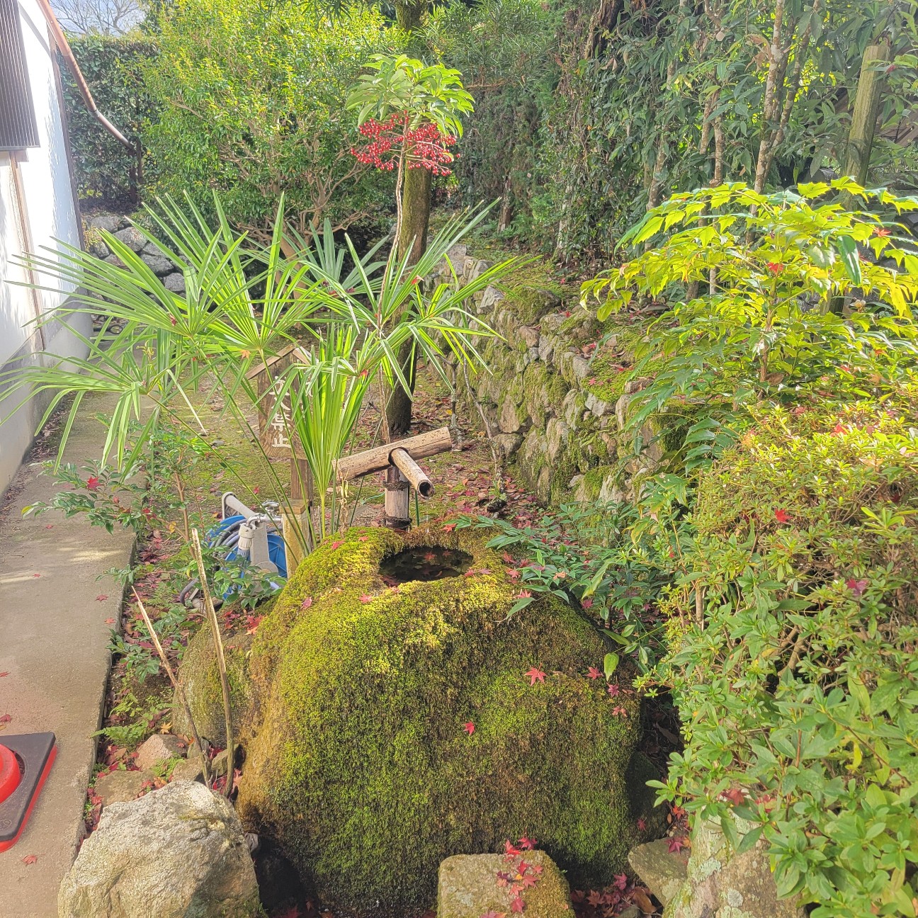 f:id:atoriatoriatori:20251215180512j:image
