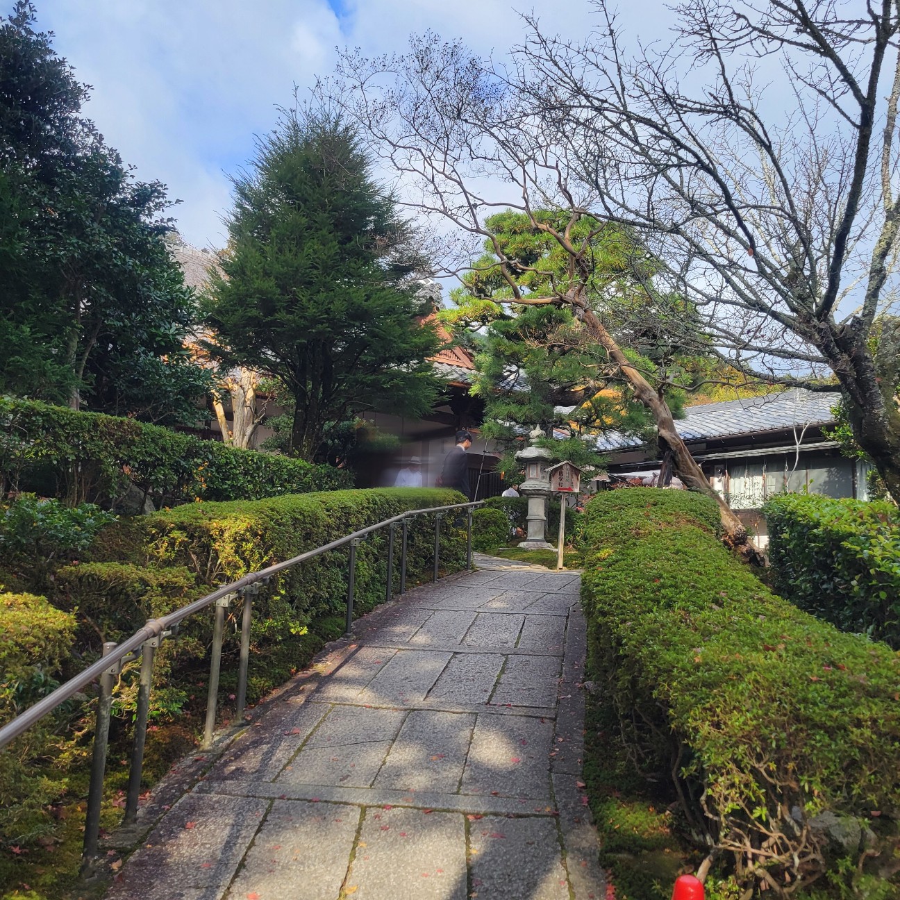 f:id:atoriatoriatori:20251215180519j:image