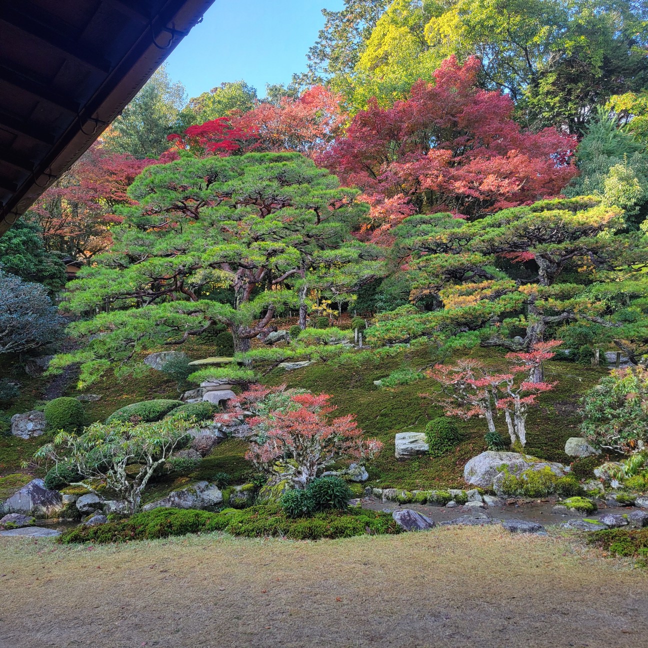 f:id:atoriatoriatori:20251215211342j:image