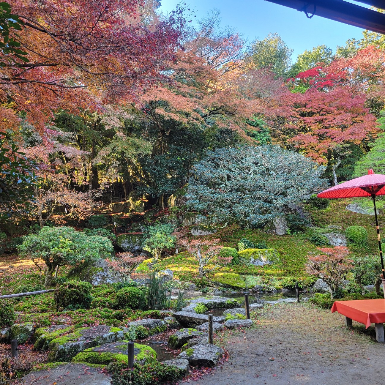 f:id:atoriatoriatori:20251216085738j:image