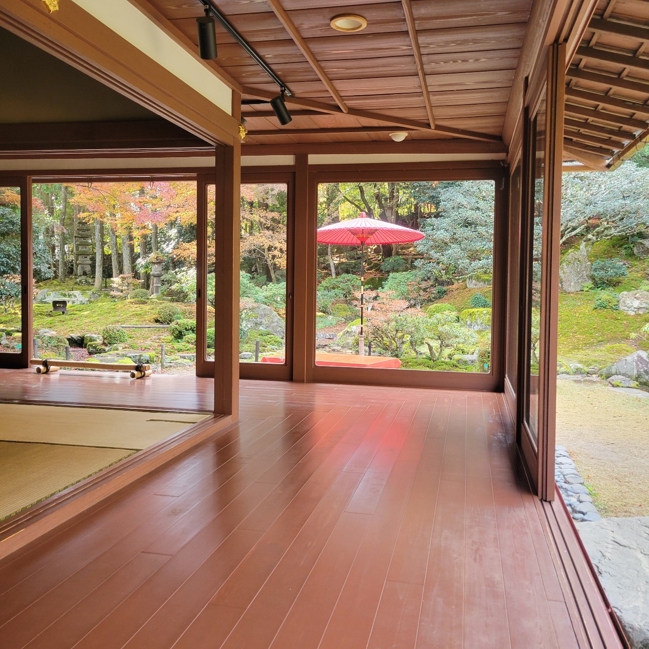 f:id:atoriatoriatori:20251216100854j:image